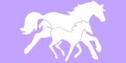 Starflower Stables